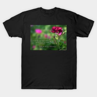 A rose by any other name... (Will you be my Valentine?) T-Shirt